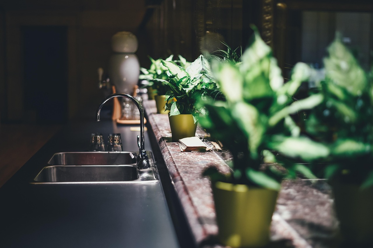 home kitchen faucet